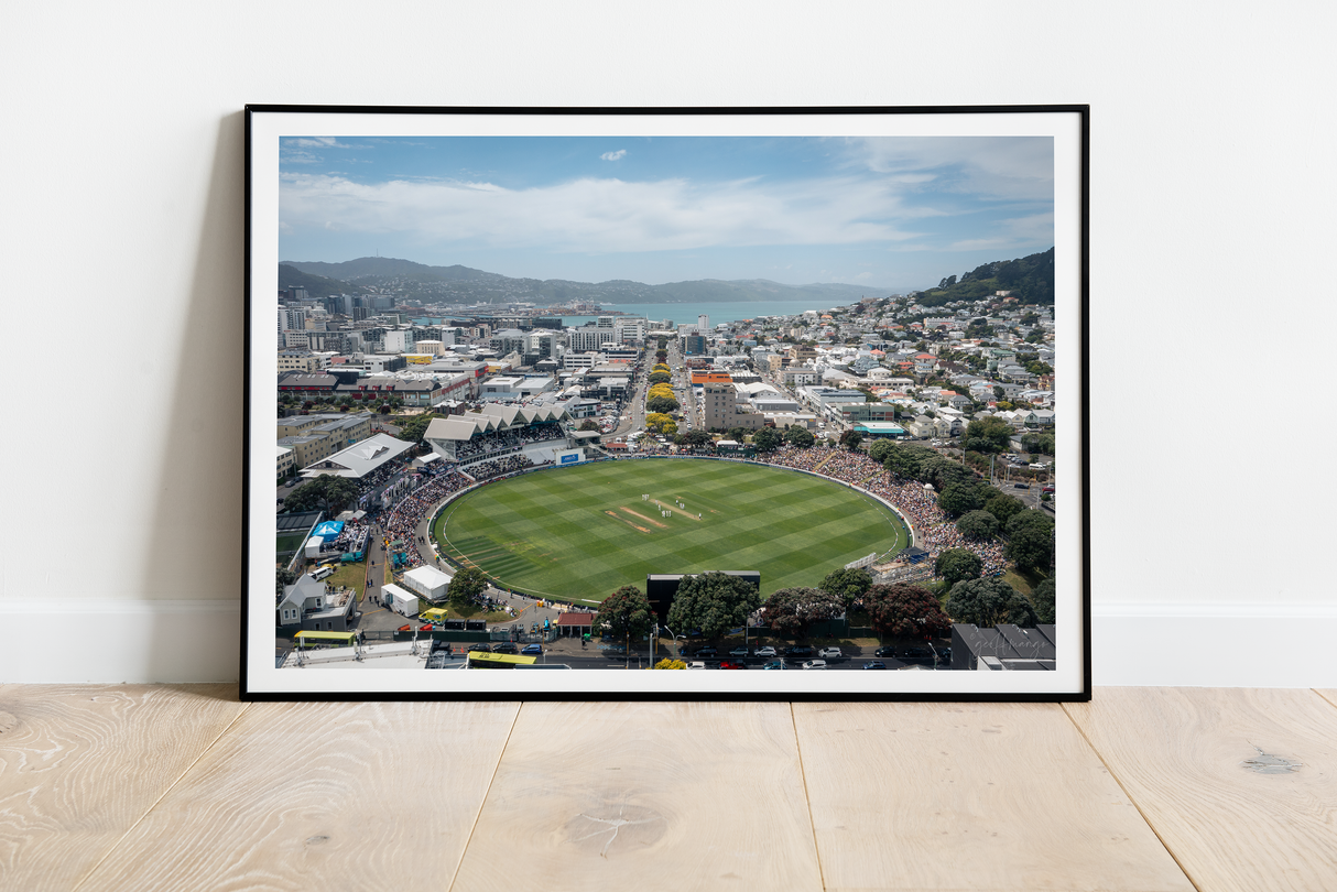 Stadium Print - Wellington 3