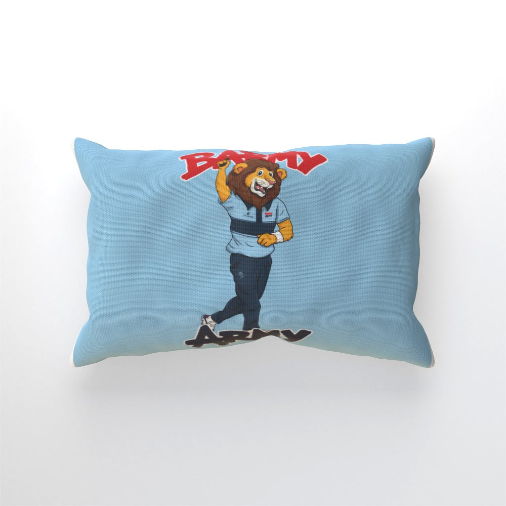 Barmy Army Send Off Cushion - Personalised