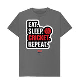 Slate Grey Barmy Army Eat Sleep Slogan Tee - Men's