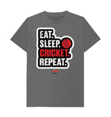 Slate Grey Barmy Army Eat Sleep Slogan Tee - Men's